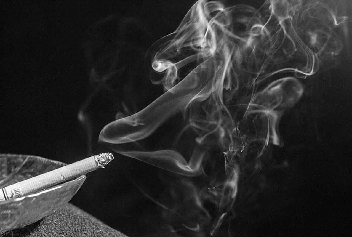 Дымящая сигарета. Запах табачного дыма. Выкуренная сигарета. Человек курящий сигарету. Запах табачного дыма.