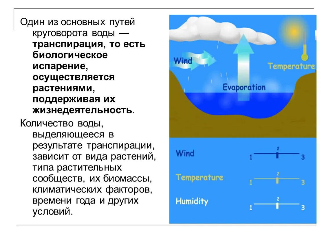 Круговорот воды. Типы круговорота воды. Континентальный круговорот воды в природе. Круговорот воды транспирация. Какое значение круговорота воды