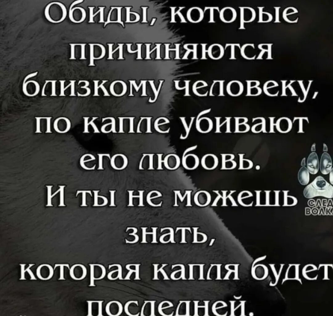 Статусы про обиду. Если тебя обидели цитаты. Фразы про обиду. Обида на боизого селовек.