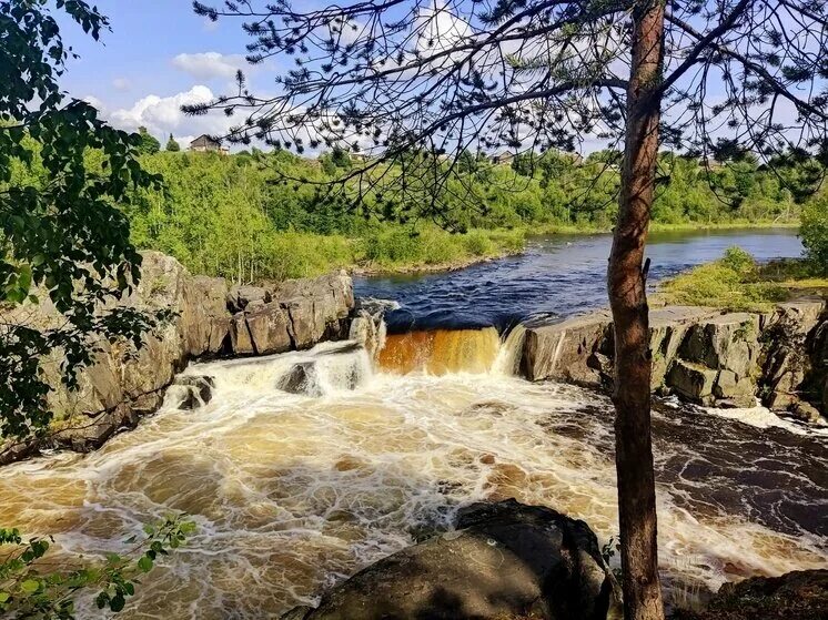Надвоицы водопад воицкий падун осень. Падун надвоицы водопад. Воицкий падун карелия. Воицкий падун карелия. Водопад воицкий падун.