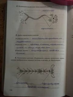 Биология 7 класс стр 9