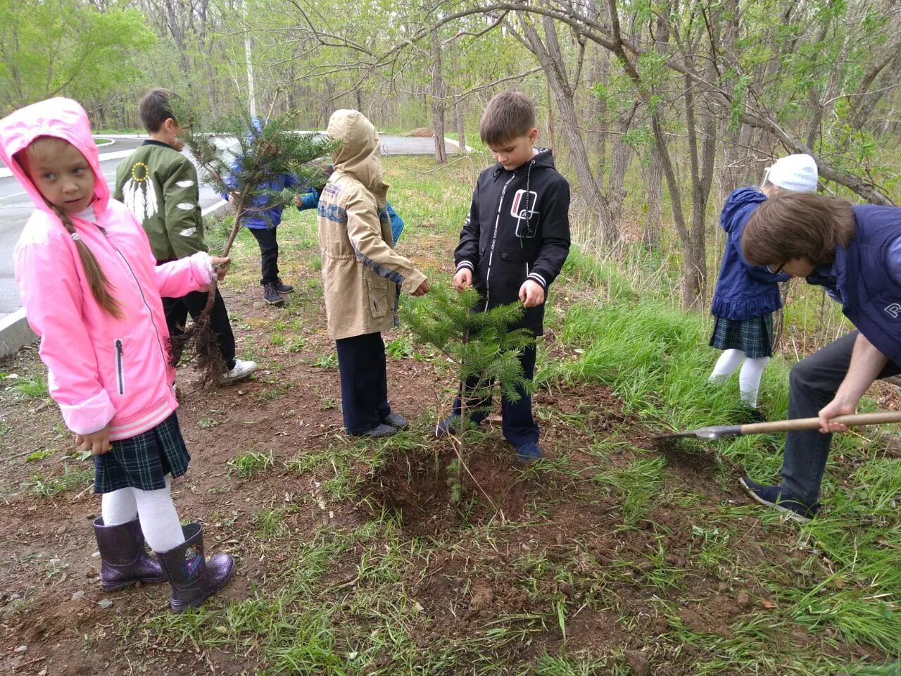 Посади дерево дружбы. Посадка деревьев детьми. Дети сажают деревья. Школьники сажают лес. Школьники сажают деревья.