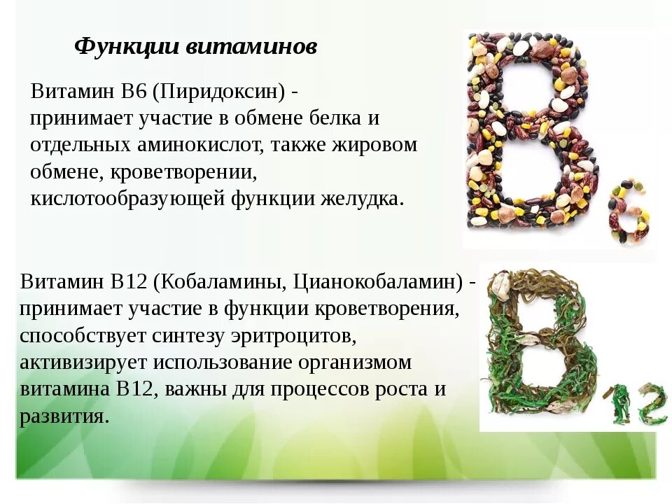 Функция 06. Функции витамина витамина b6. Витамин в6 функции биохимия. Функции витамина b6 биохимия. Витамин b6 функции в организме.