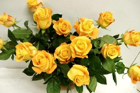 С днем рождения картинка с желтыми розами