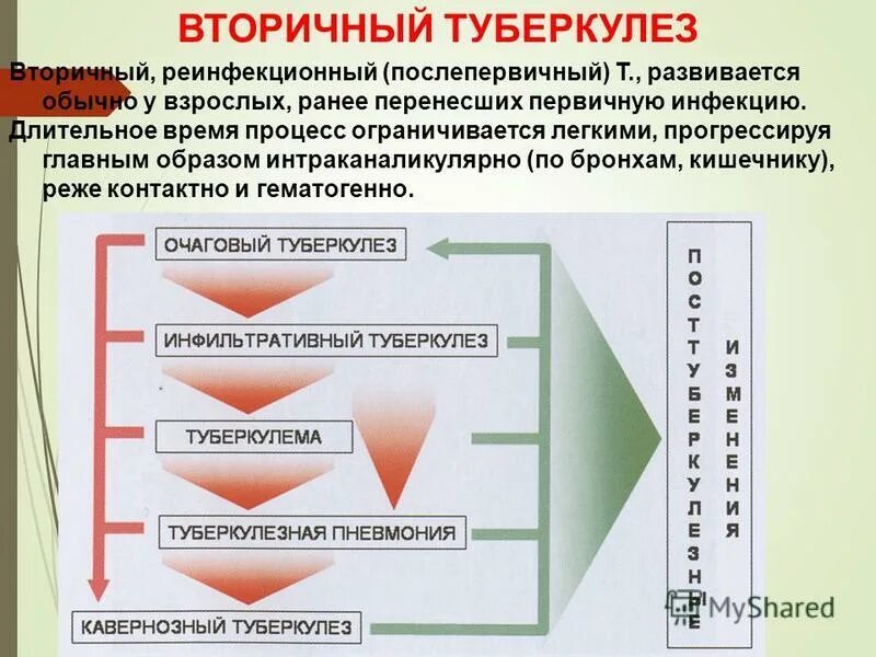 первичный и вторичный образ