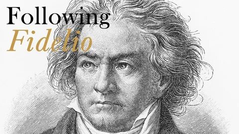 Mirror beethoven