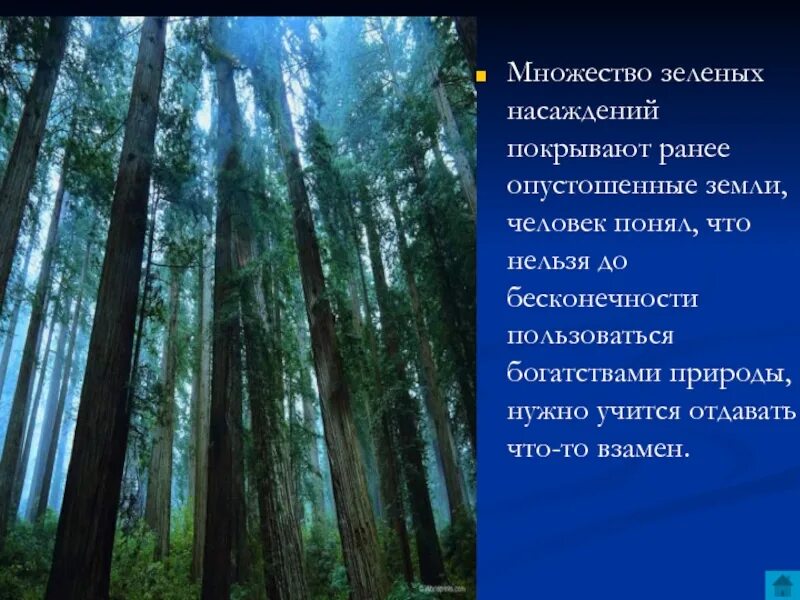 Презентация на тему богатство природы. Богатства природы отданные людям. Богатства отданные людям проект про лес. Богатства природы отданные людям лес. Богатства природы используемые человеком