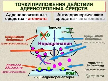 Комт в фармакологии