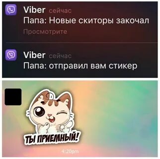 Туту новая