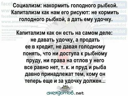 Дай удочку
