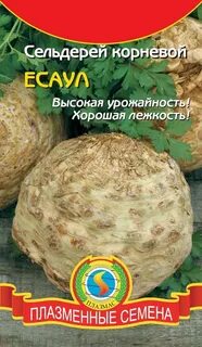 Семена корневой
