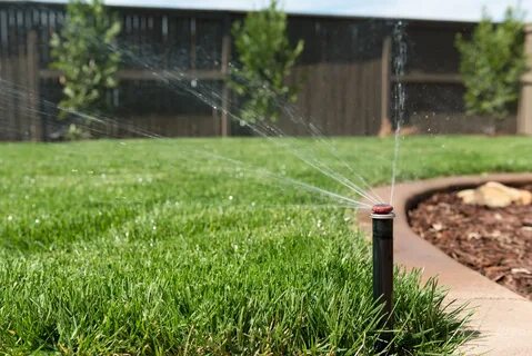 Automatic watering