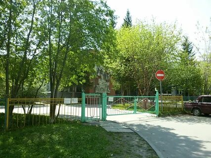 Золотая рыбка новосибирск