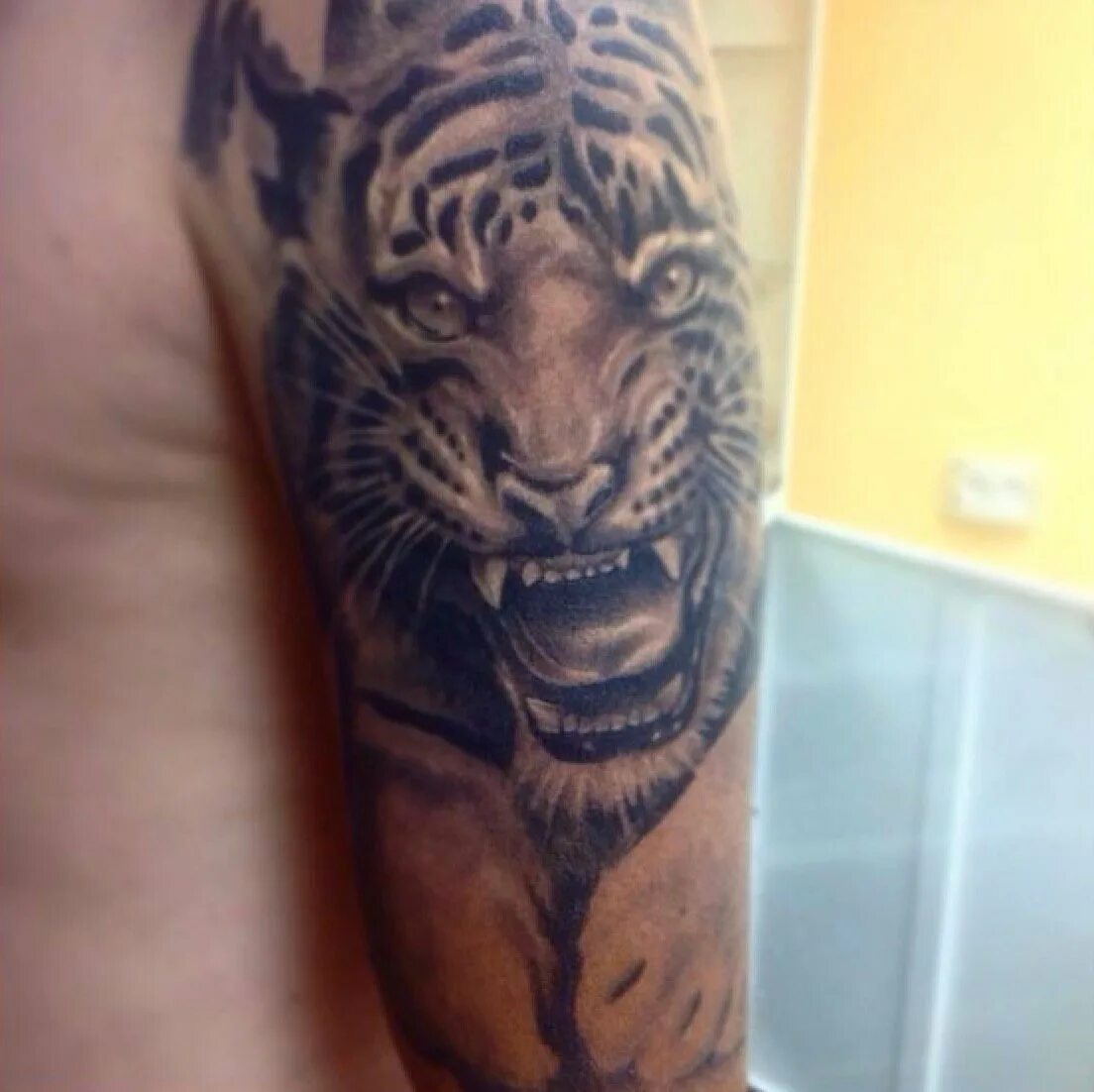 Тигр на плечо мужские. Татуировки оскал тигра. Тату тигра на плече. Тату тигра на плече для мужчин. Тату оскал тигра на плече для мужчин.