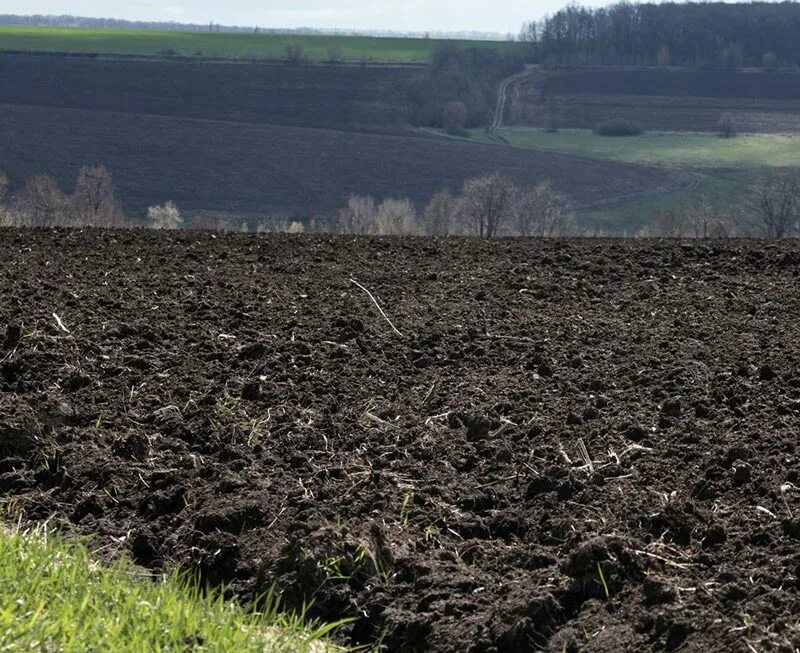 Фон поле вспаханное. Вспаханное поле вид сверху. Вспаханная земля. Вспаханное поле чернозем. Плодородная земля.