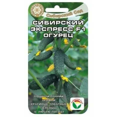 Семена заказ сибирский сад. Огурец сибирский экспресс f1 7шт сиб сад. сибирский экспресс огурец f1 описание. огурец сибирский скороход сиб.сад. сорт огурцов сибирский экспресс.