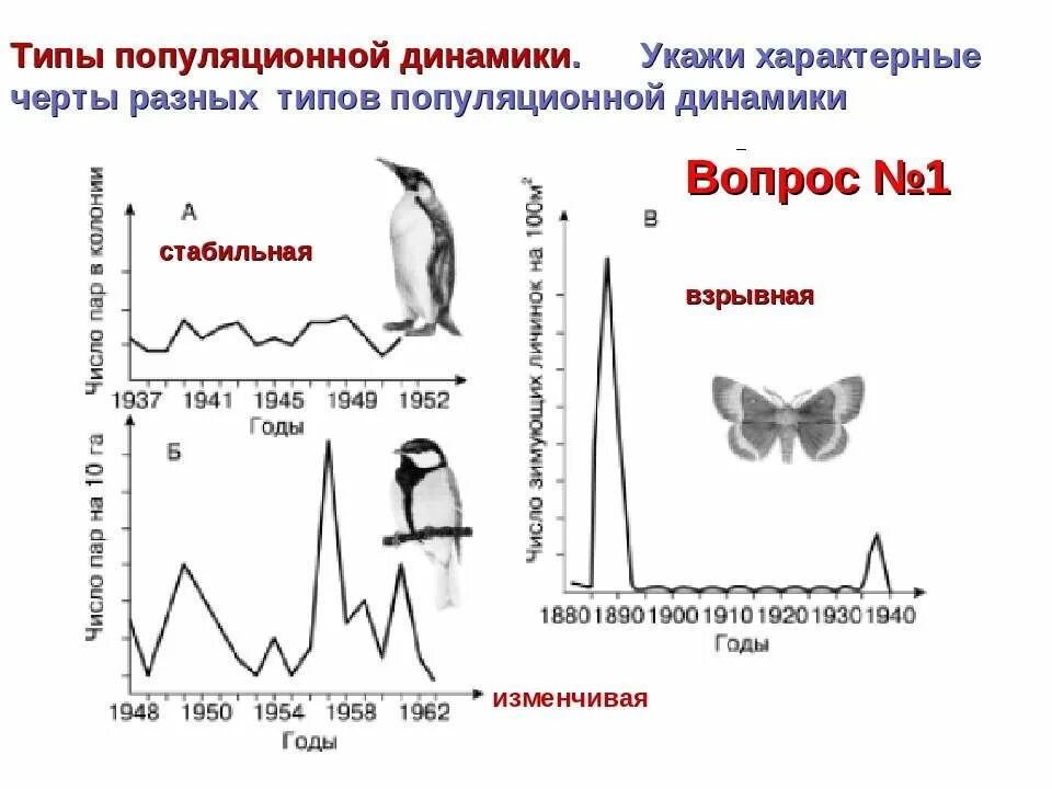 Циклический тип динамики численности популяции. Стабильный тип динамики популяции. Уильямсону, 1975). Факторы влияющие на популяцию. Основные типы динамики численности популяций (по м.