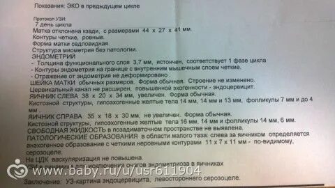 Размер желтого тела при беременности