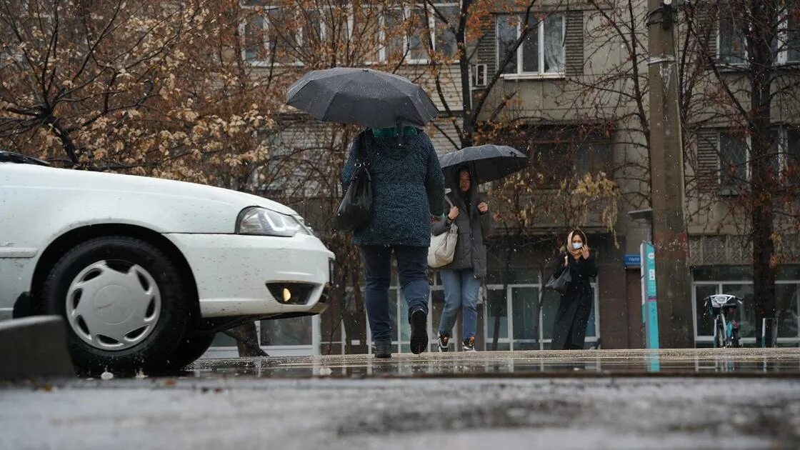 Сильный дождь. Штормовое предупреждение. Сильный снегопад. Сильный снег. Ноябрь 13 2020