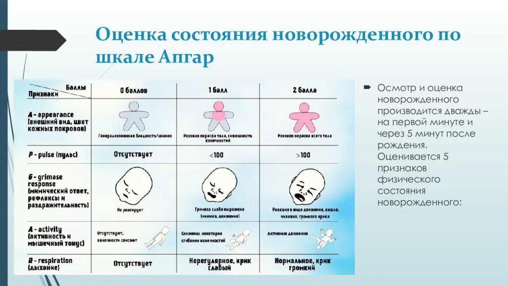 8 8 по апгар после кесарева. Оценка состояния новорожденного. Оценка состояния по шкале Апгар. Оценка новорожденного по шкале Апгар. Шкала оценки состояния новорожденного.