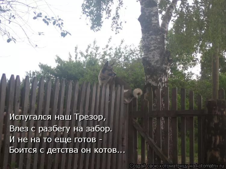 Сижу на заборе песня