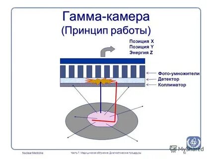 Объект гамма