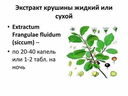 Сухой экстракт на латинском