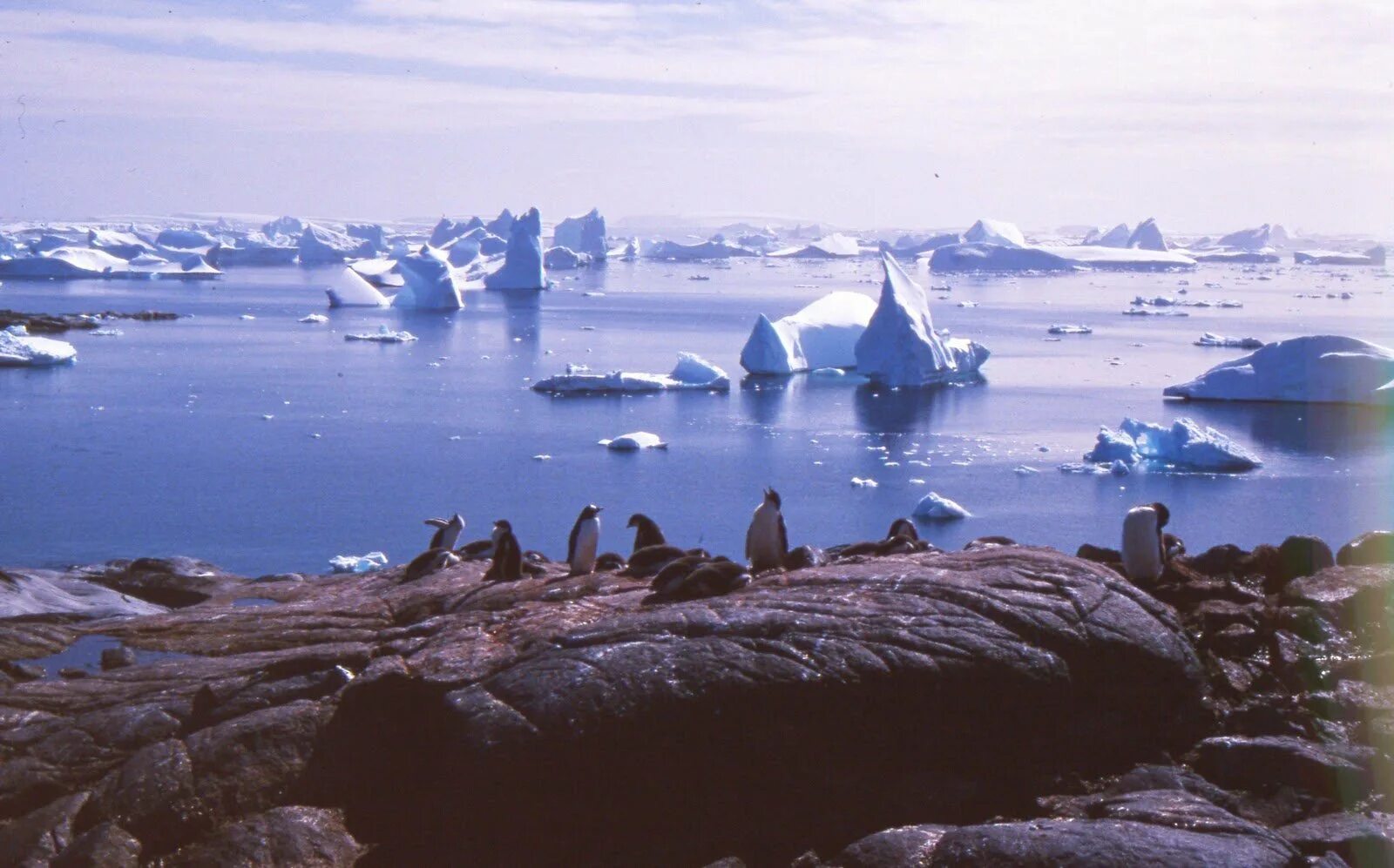 Барк Европа Антарктида. Лето в Антарктиде. Antarctica in the Summer. В середине 20 века антарктида для многих