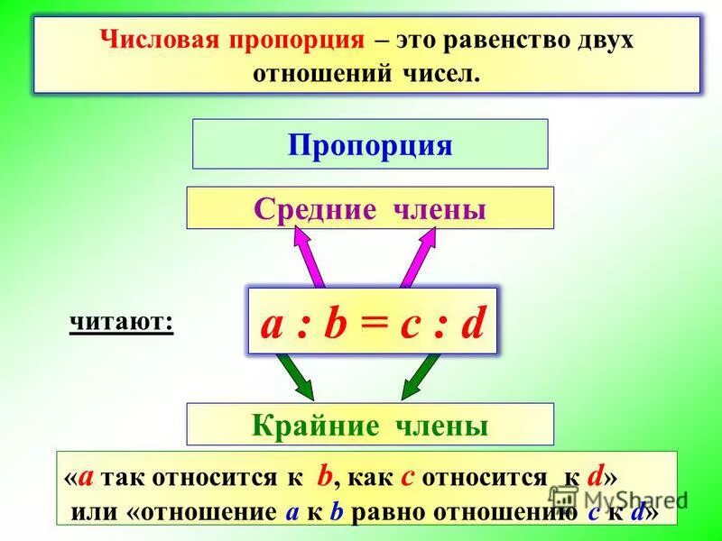 Пропорция отношение двух чисел. Пропорция равенство двух отношений. числовые пропорции. числовые равенства. равенство двух отношений в математике.