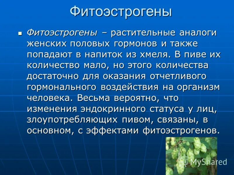 Источник эстрогенов. Фитоэстрогены. Фитоэстрогены в растениях. Фитоэстрогены в продуктах. Женские гормоны растительного происхождения.