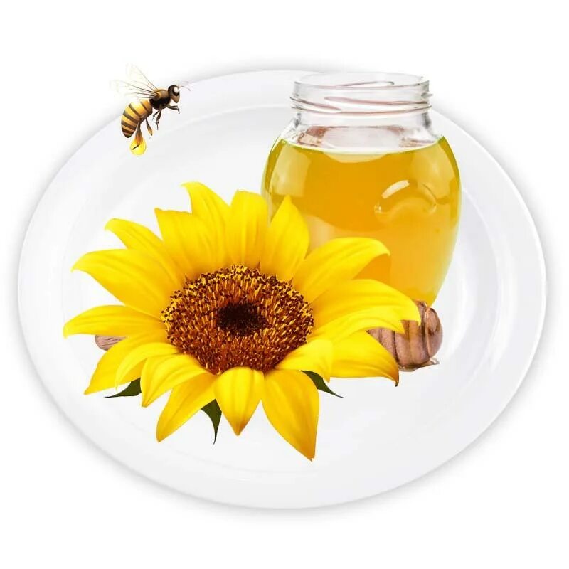 Мед подсолнух. Мед подсолнечника. Мед из подсолнуха. Мед подсолнух на белом фоне. Мед подсолнух 2 литра.