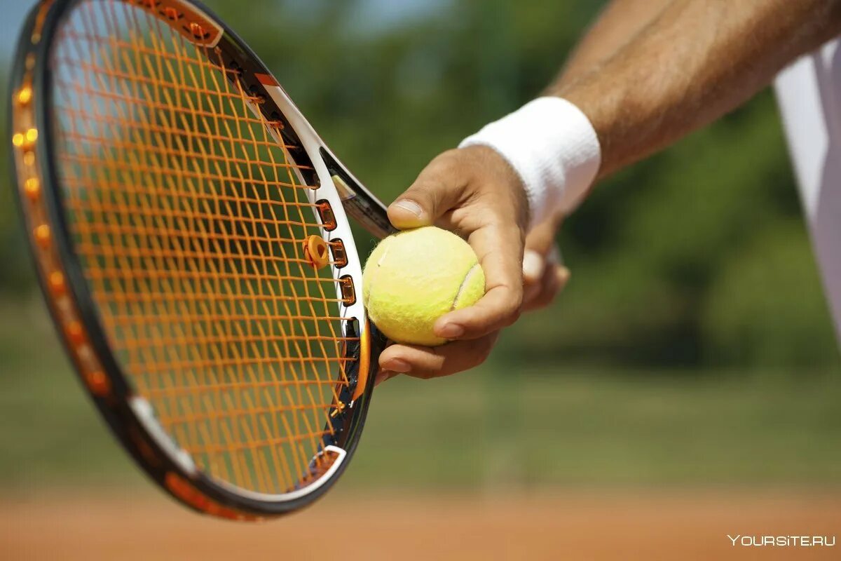 Уимблдон 2020. Wimbledon теннис. Теннисный корт ракетка. Большой теннис сайт. Теннисный мяч.