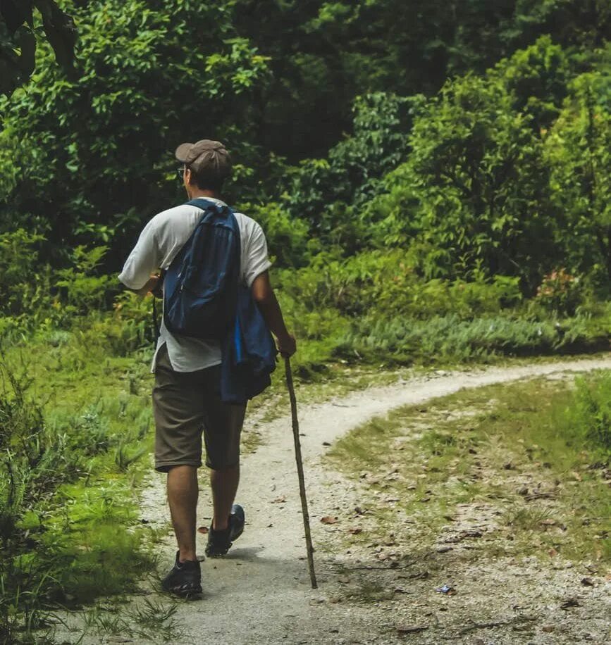 Пешком по лесу. Человек идет по тропе. Прогулка пешком. Треккинг по лесу. Natural walking