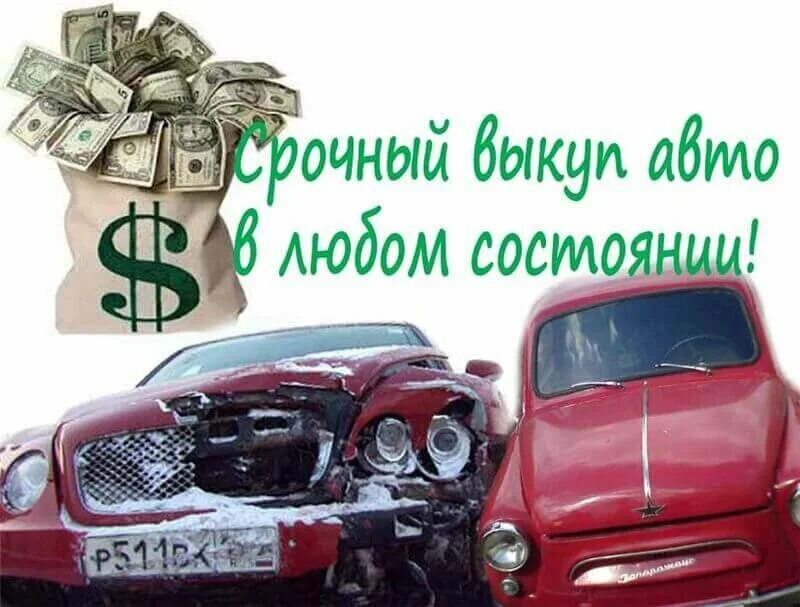 Выкуп авто. Срочный автовыкуп. Выкуп любых авто. Срочный выкуп авто. Срочный выкуп любого авто