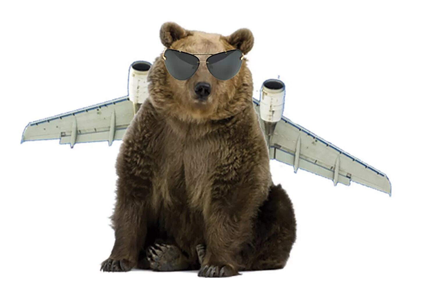 He can t bear. Bear on the plane. Teddy Bear Airplane. Bear movie Airplane. Reer Bear Airplane.
