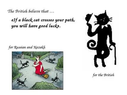 Lucky a big black cat went