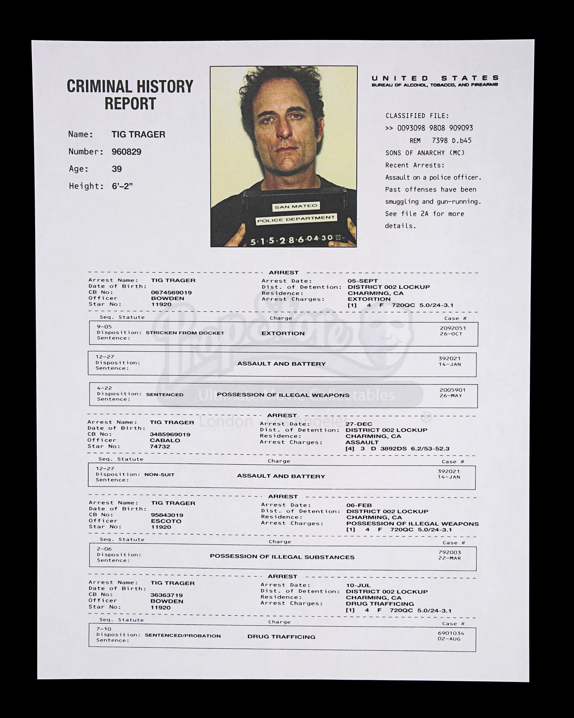 Crime report. How to write report sample. Crime report. No criminal record commitment. Crime report.