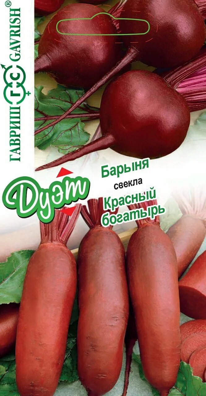 Свекла барыня гавриш 2г. Свекла барыня гавриш 2г. Семена свекла барыня 2г. Свекла барыня отзывы. Свекла барыня гавриш 2г.