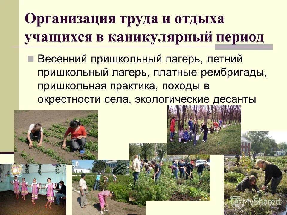 летний отдых учащихся. организация отдыха учащихся. формы организации летнего отдыха учащихся. организация отдыха учащихся. организация летнего отдыха проект.