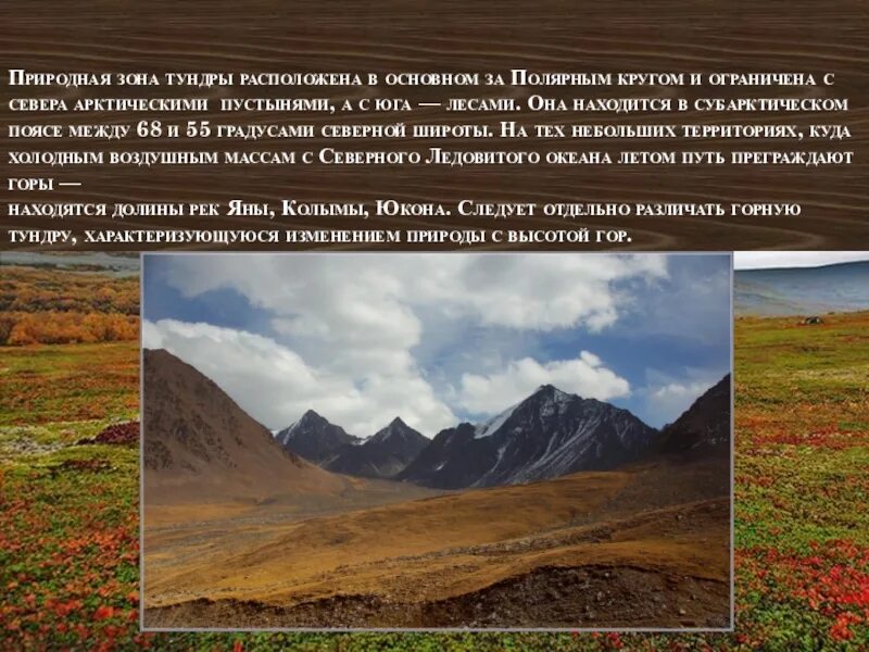 Какая природная зона перед полярным кругом. Тундра природная зона. Зона тундры расположена. Климатические зоны России тундра. Прироная зонав  тундре.