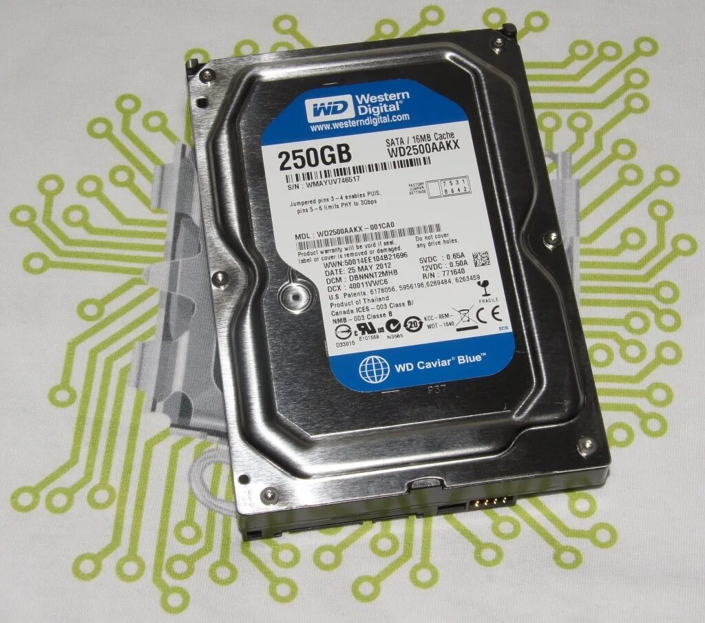 WD wd2500aakx 250 ГБ. Western Digital wd2500aakx. Жесткий диск 250 ГБ Western Digital. WD Blue 250gb HDD. Жесткий 250 купить