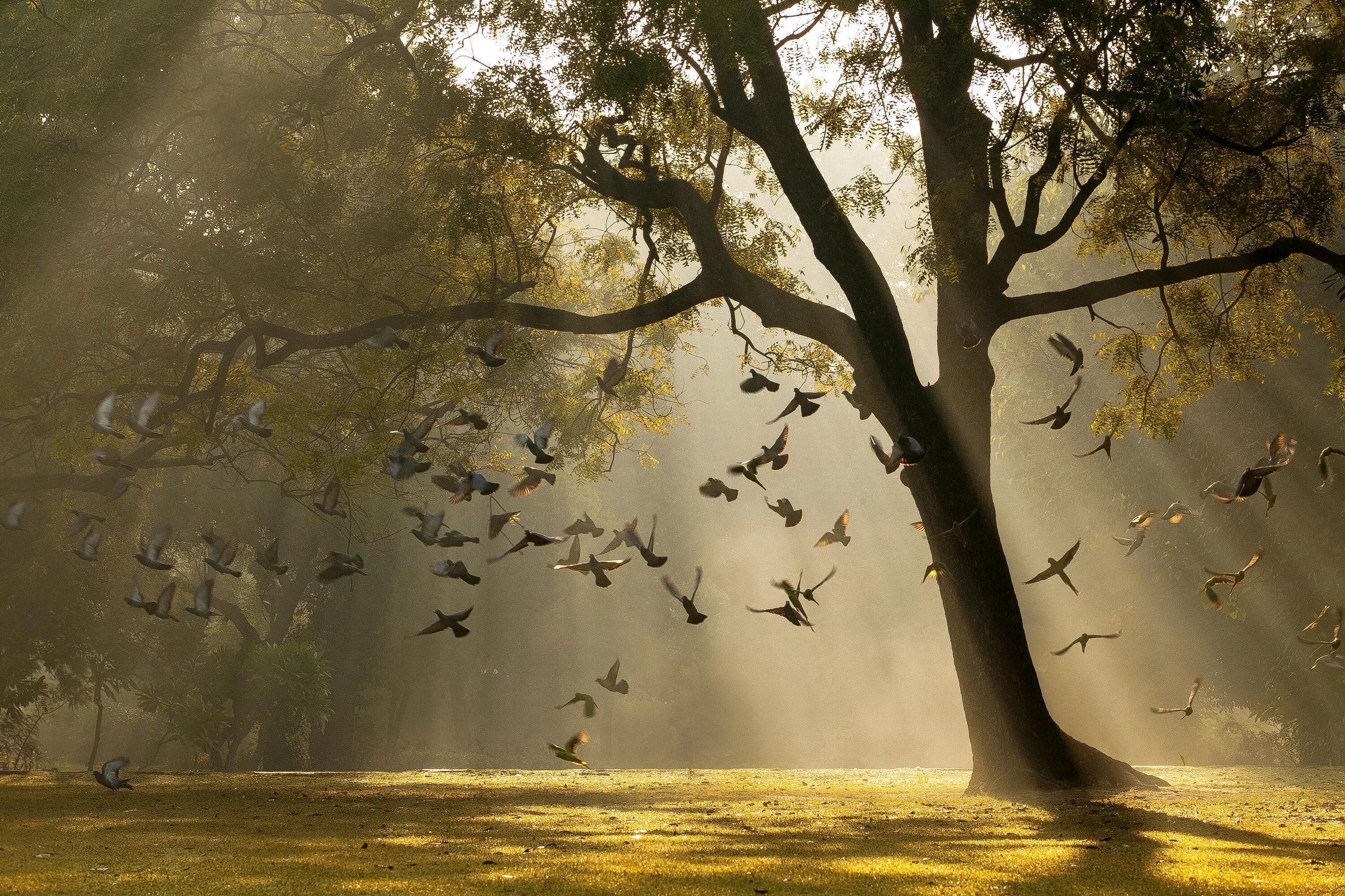 Nature is the greatest