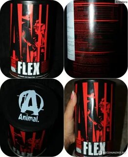 Flex universal nutrition
