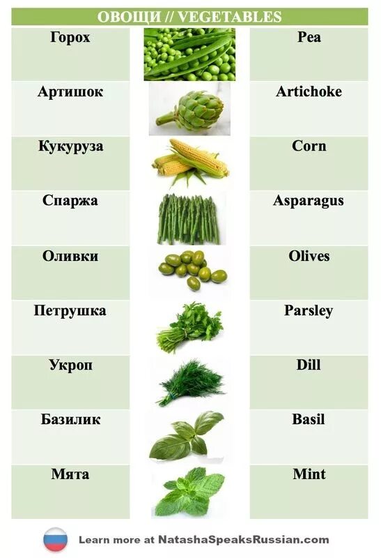 Dill перевод. Овощи названия. Зелёный овощ название. Зелень овощи названия. Овощи все разновидности.