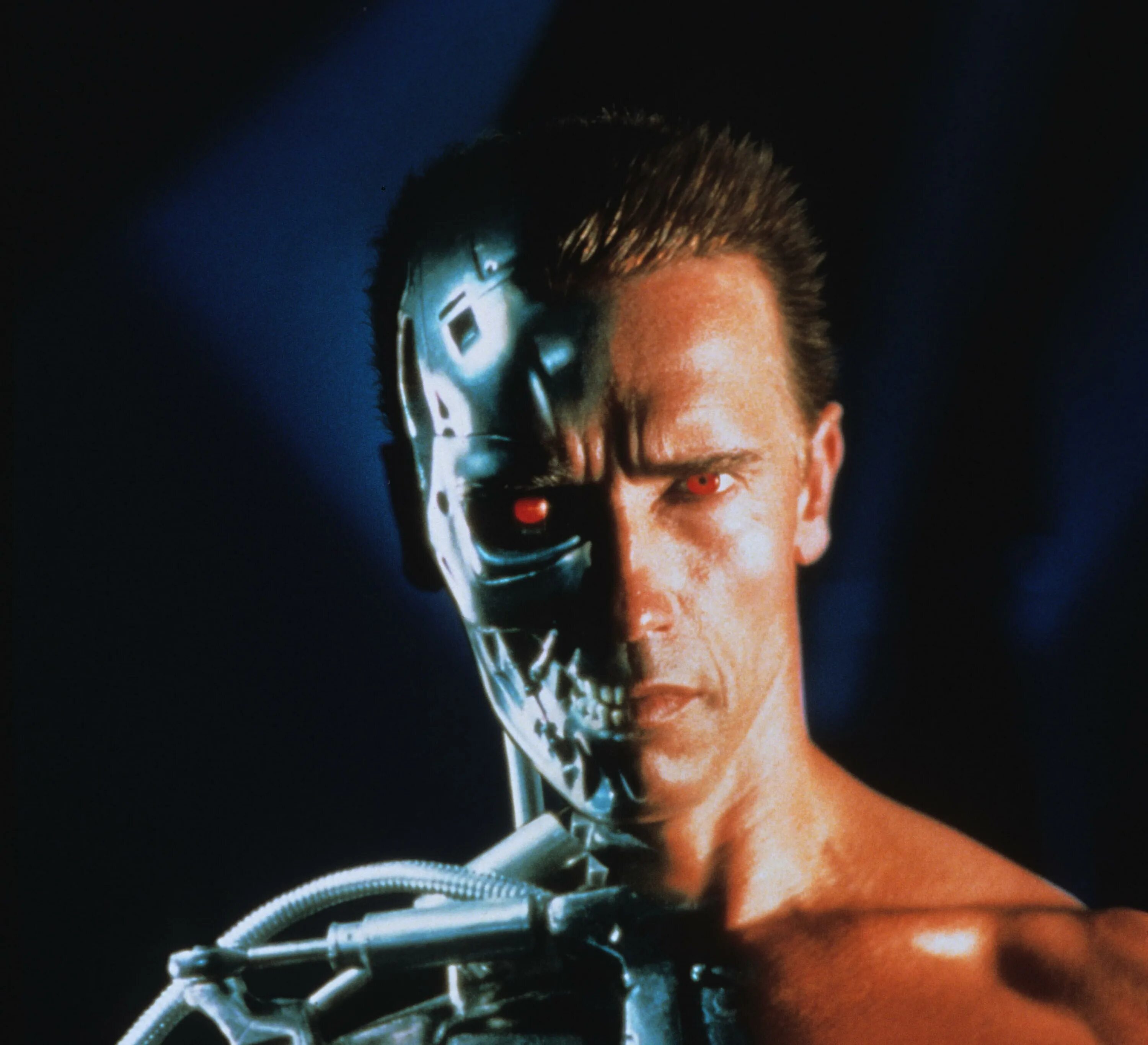 Terminator v. Шварценеггер Терминатор 1.