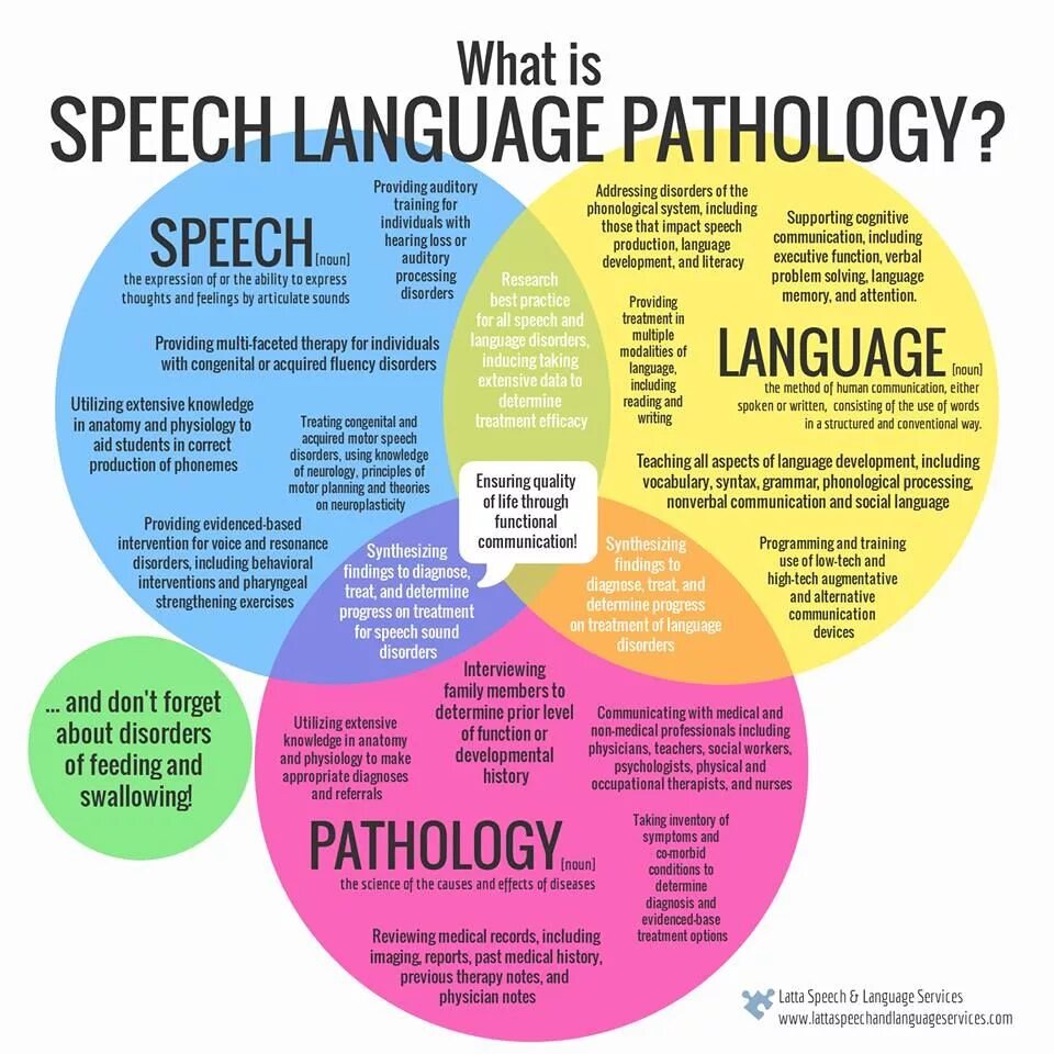 This speech is my. Speech–language Pathology. Speech language Pathologist. Language and Speech differences. Language and Speech Levels.