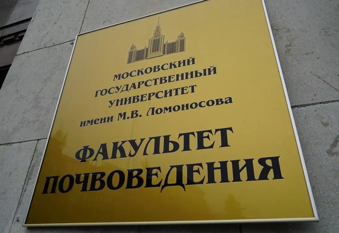 Мгу кафедра почвоведения ольга салимгареева. Сайт почвоведения мгу. Факультет почвоведения мгу здание. Мгу факультет почвоведения кафедры. Факультет почвоведения мгу.