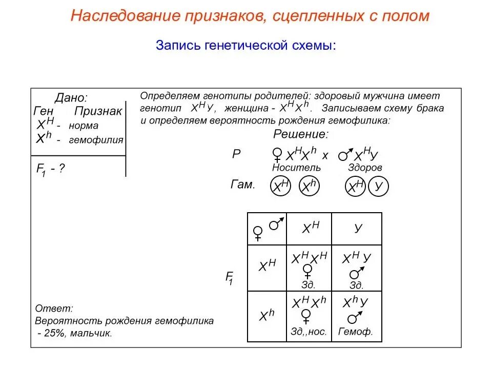 Схема генетика пола. Наследование признаков. Генетика пола наследование признаков сцепленных с полом кратко. Наследование сцепленное с полом схема скрещивания. Наследование сцепленное с полом биология 9 класс.