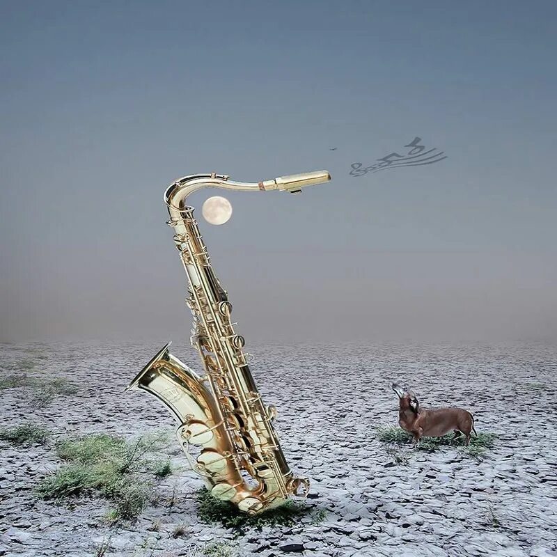 Успокаивающий саксофон. Christine ellger сюрреализм. картины книжный сюрреализм кристин эллджер. саксофон. саксофон арт.