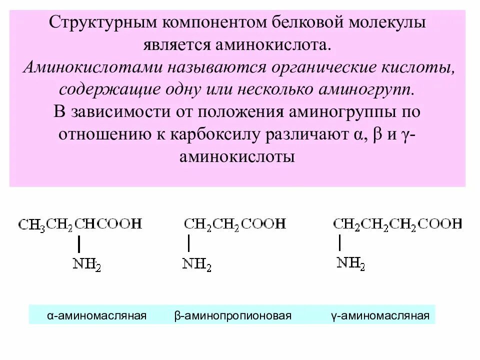 Белковый элемент. Молекула аминокислоты. Аминокислотой является. Положение аминогруппы в аминокислотах. Аминокислоты являются структурными компонентами.